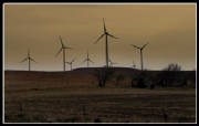 Windmills at Dusk