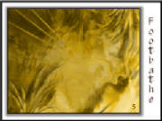 paintings/footbathe6.jpg